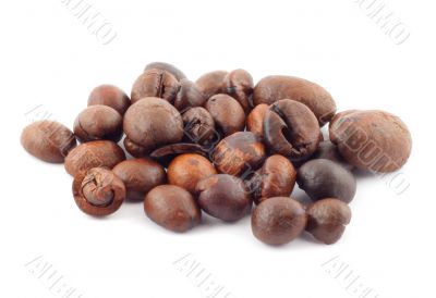 coffee beans macro