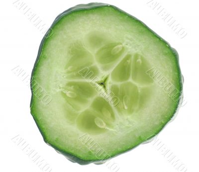 cucumber slice details on white