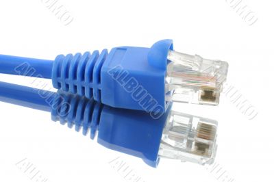 RJ-45 cable with its reflection on pure white