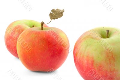 three apples on white