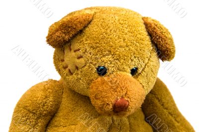 Teddy Bear Toy Close Up