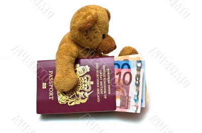 Teddy Bear with Cash and Passport