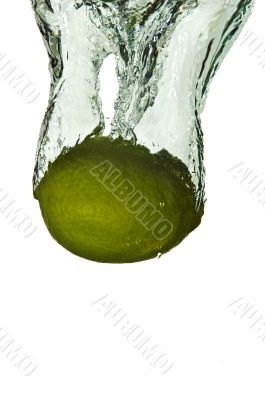 Lime Citrus Fruit in Water