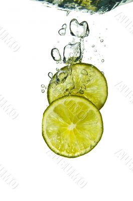 Lime Splash