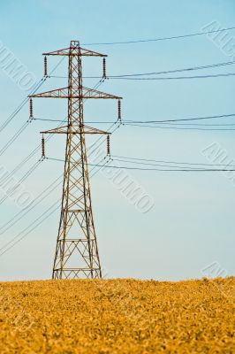 Electricity Pylon in Field