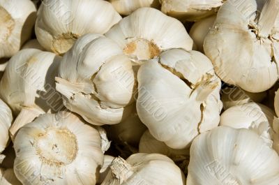 Garlic Clove Stack