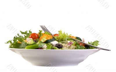 Salad