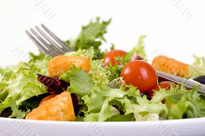 Salad