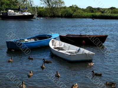 three boats on the water