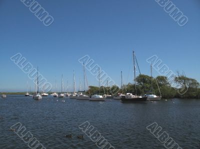yachts in harbour