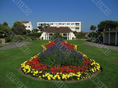 flower bed