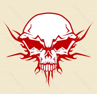 skull