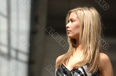 Gorgeous Fashion Model