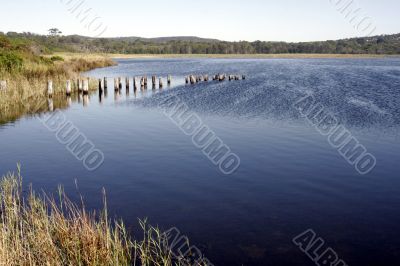 Summer lake