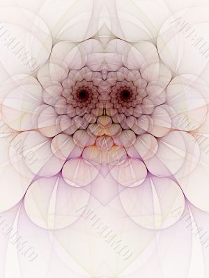 Splendid Throne against White