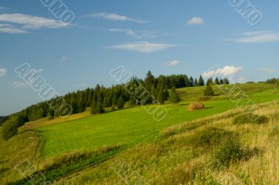 Beautiful summer landscape. The nature.