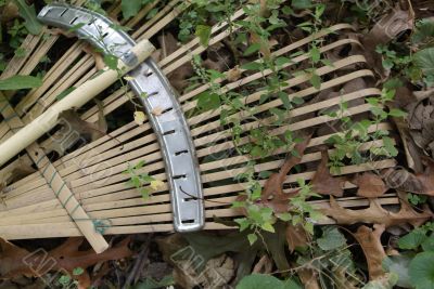 rake with overgrown weeds