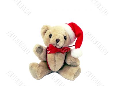 christmas bear isolated