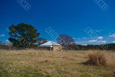 Rural Landscape: Farm House and Trees