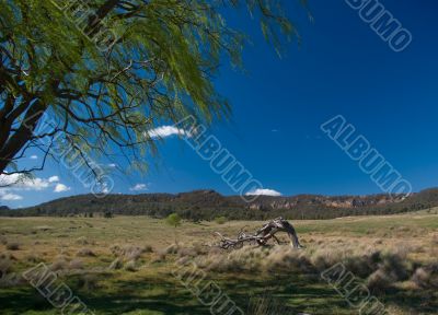 Rural Landscape