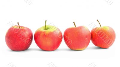four apples in the line