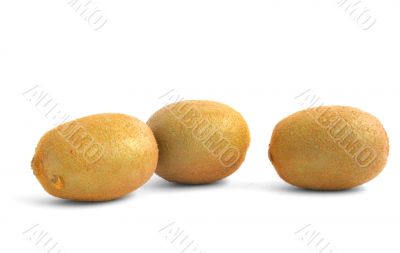 three vivid kiwi fruits on white