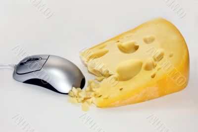 mouse love cheese