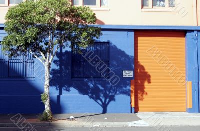Colourful Driveway
