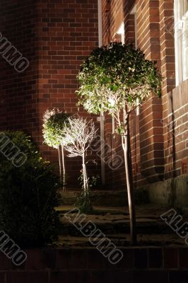 Night Tree