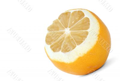 lemon profile