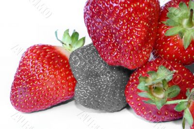 strawberry outcast