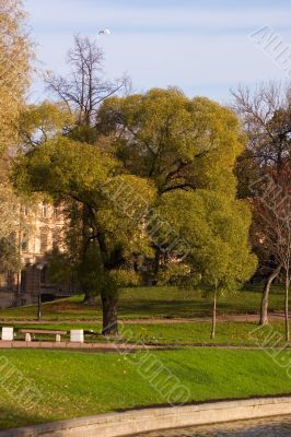 Petersburg`s autumn is coming