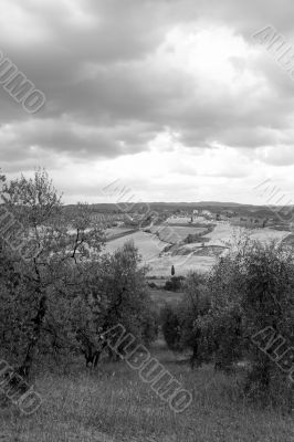 black and white tuscany