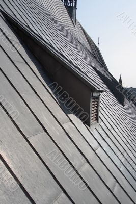 Roof of the cathedral