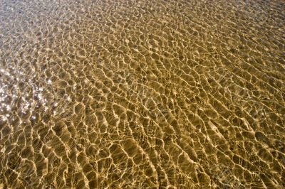 ripples on gold ocean
