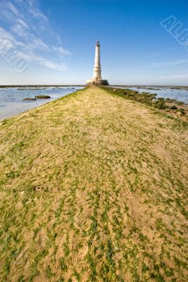 Way to the lighthouse