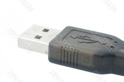 real macro of USB plug