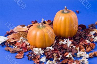 Fall Pumpkins