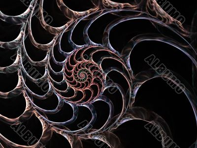 Shell of a Spiral