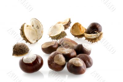 many chestnuts