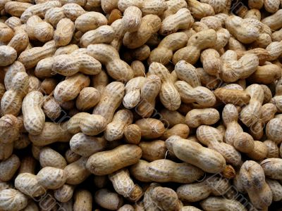 Organic Peanuts