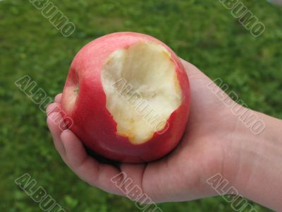 Red apple