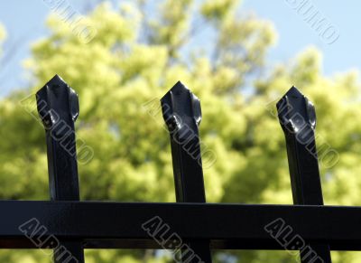 Black Fence