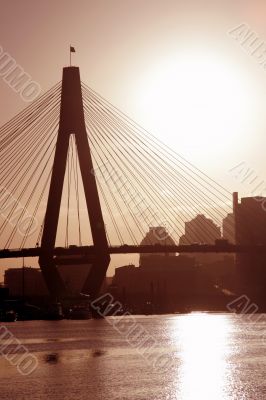Anzac Bridge In Evening Light