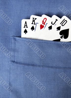 Card Suit