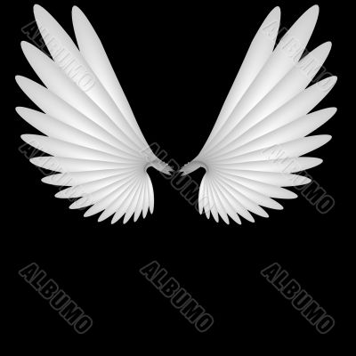 Angel wings