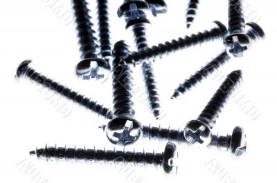 Metal Screws