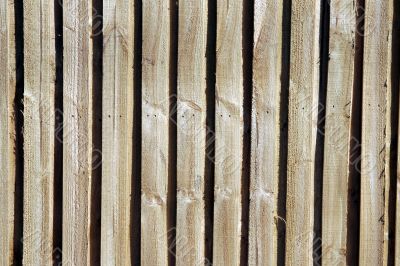 Wood Fence