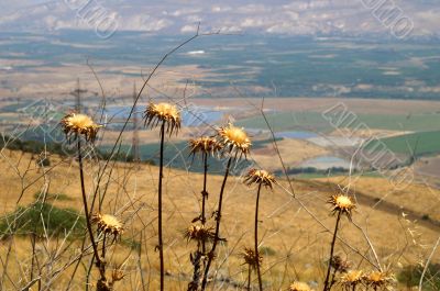 Galilee landscape