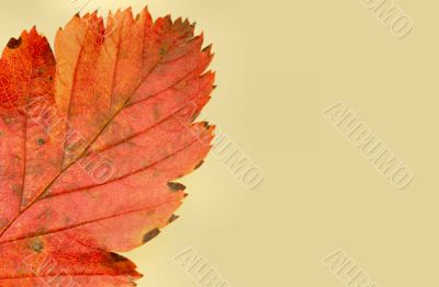 colors of autumn